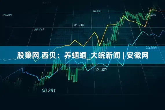 股巢网 西贝：养蝈蝈_大皖新闻 | 安徽网
